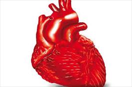 کلینیک قلب